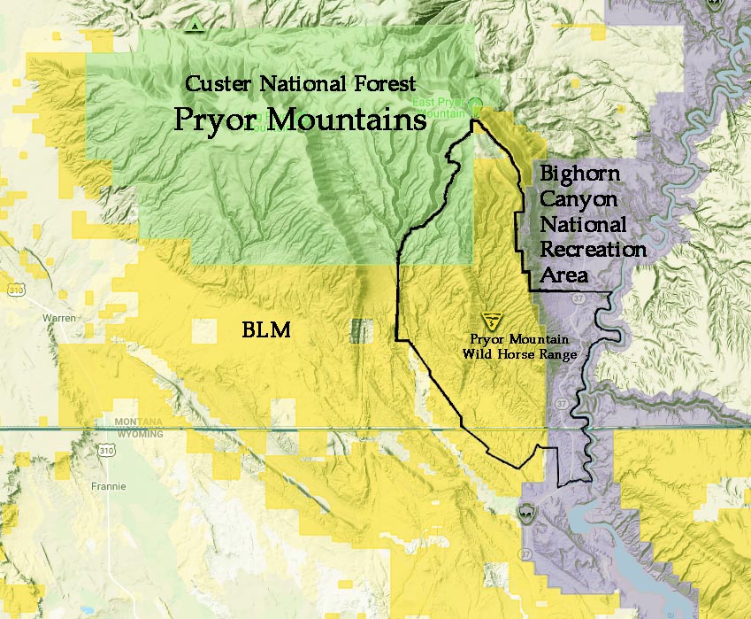Pryor Mountain Wild Horse Range